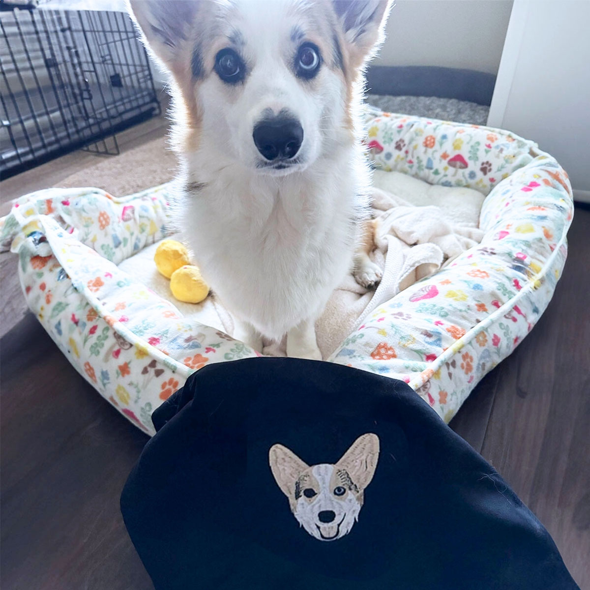 Custom Embroidered Corgi Sweatshirt or Hoodie in Various Colors